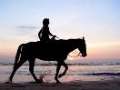 How To Get Over Your Fear of Riding Horses