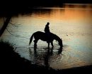 Horseback Riding At Night