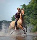 Horseback Riding in the Summer