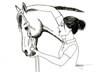 How To Bridle A Horse