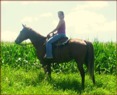 Horseback Riding