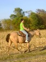 First Ride Horse Training Story