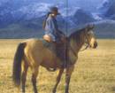 AQHA Buckskin Mare for Sale in Idaho