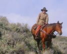 Cattle Drive on Horseback