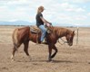 Training A Horse to Ride