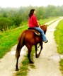 Trail Riding in the Fall