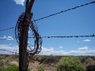 Barbed Wire Stories