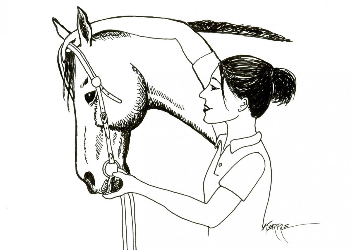 How To Bridle a Horse Putting the Bridle on a Horse Horse Training Blog