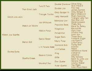 Pedigree for Watch Joe Starlite, Quarter Horse Stallion